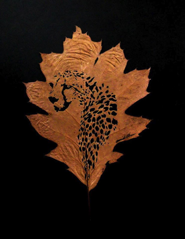 07