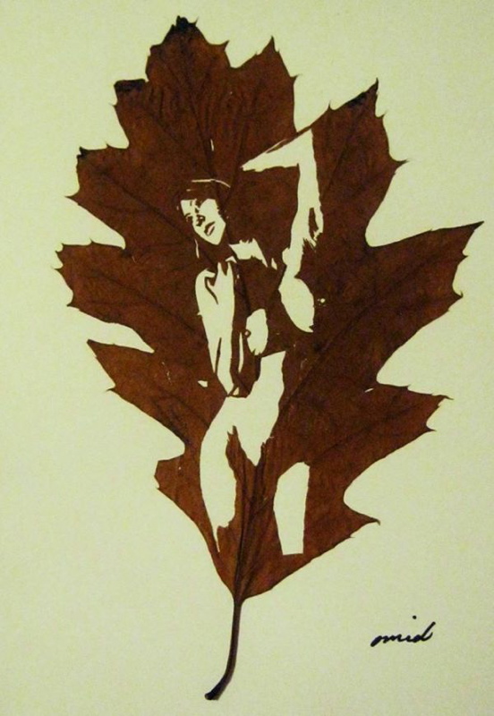 17