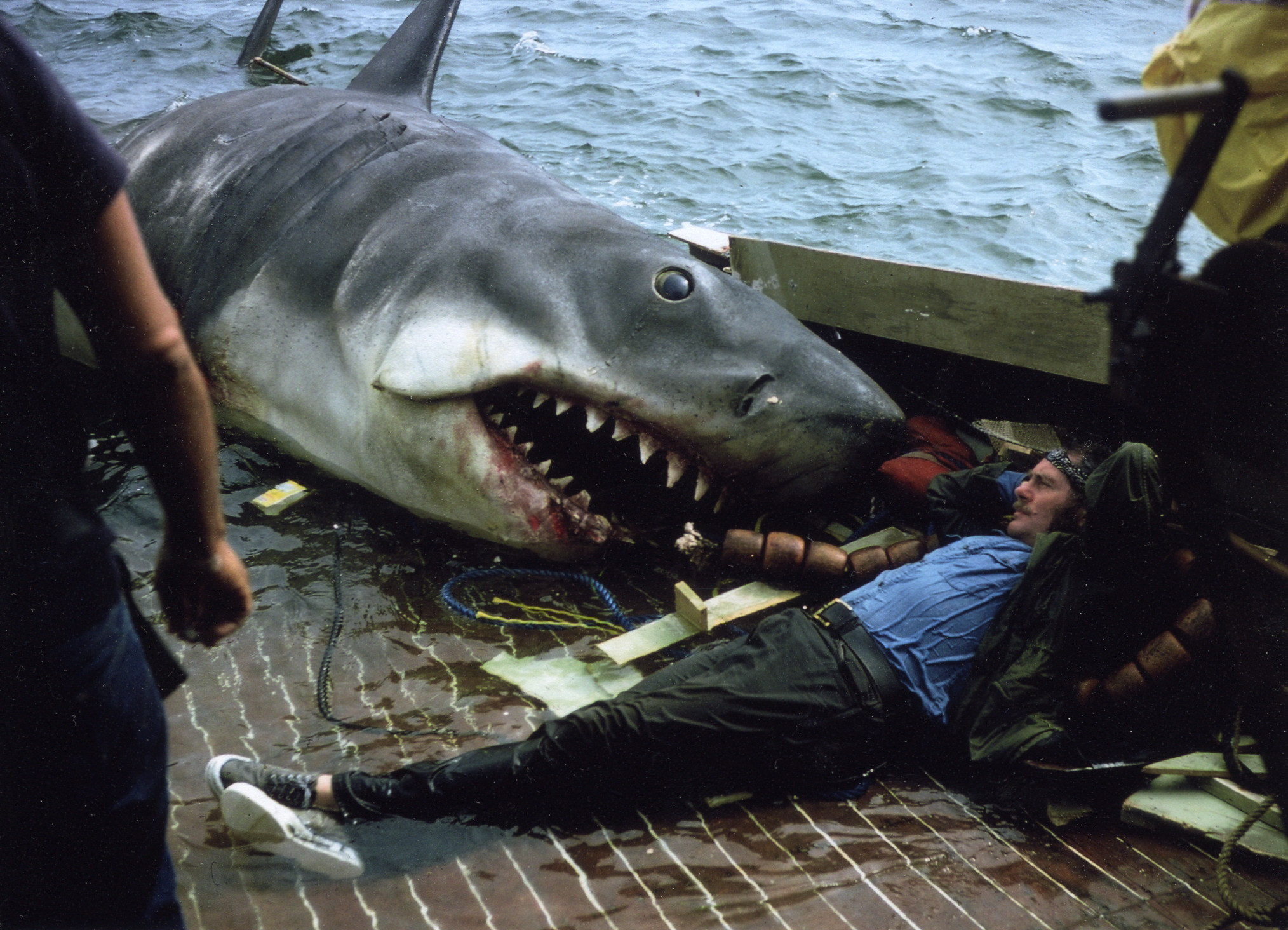 7 Quint and the shark were BFFs