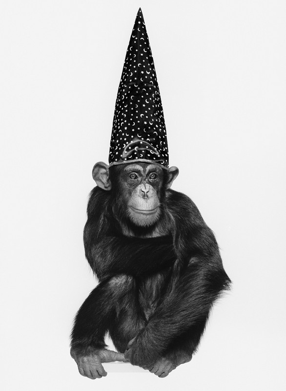 Fotografía de Albert Watson