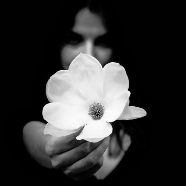 Una flor blanca en primer plano