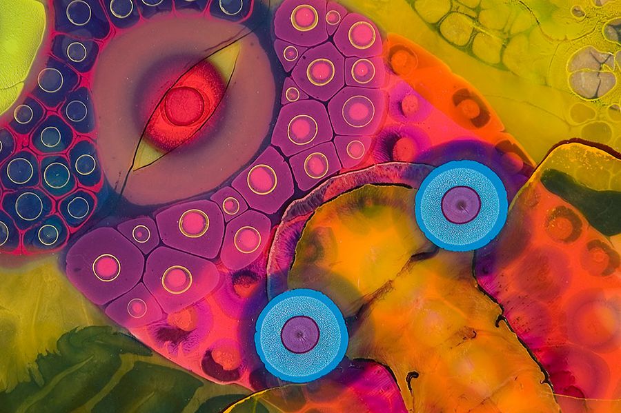 psychedelic-paint-bruce-riley-03