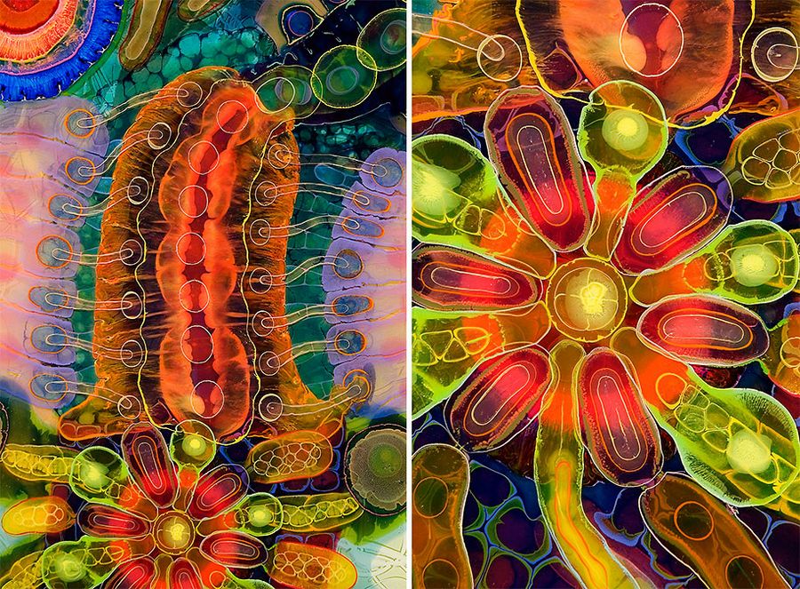 psychedelic-paint-bruce-riley-08