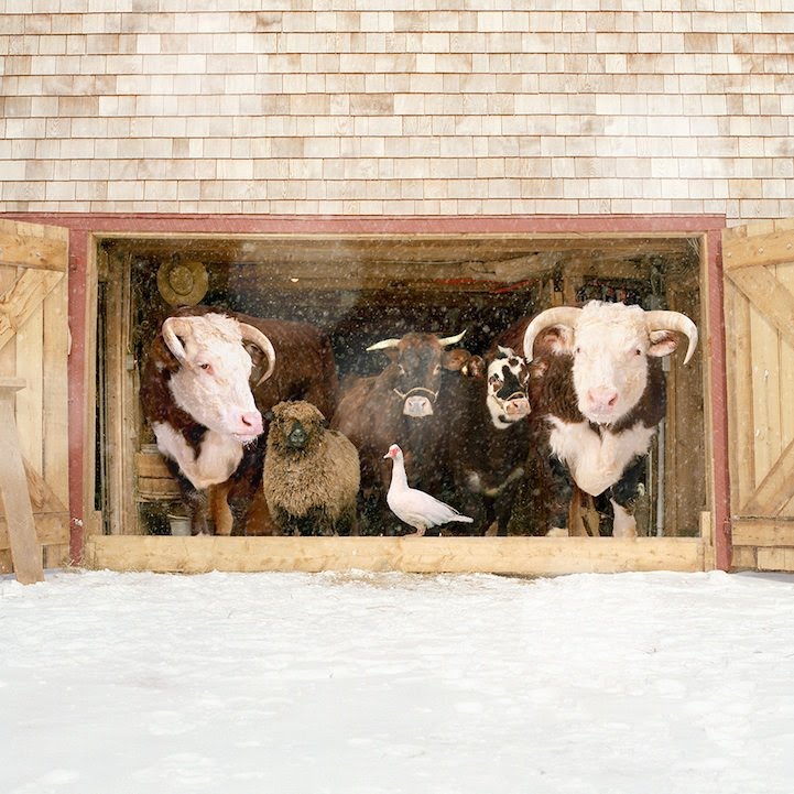 Rob Macinnis Farm Family familia granja5