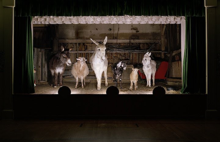 Rob Macinnis Farm Family familia granja8