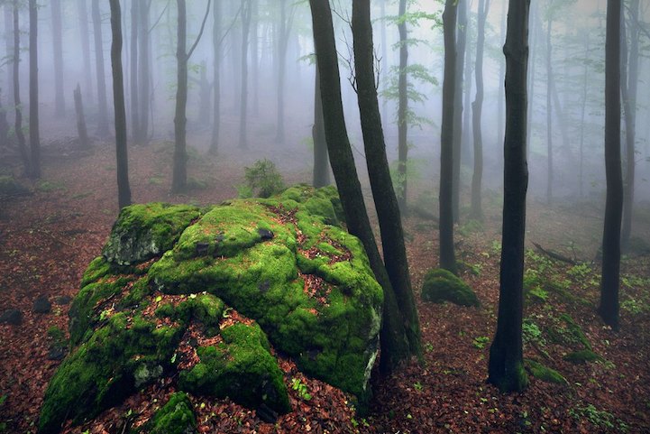 Haunting Photographic Illustrations of the Brothers Grimm-5