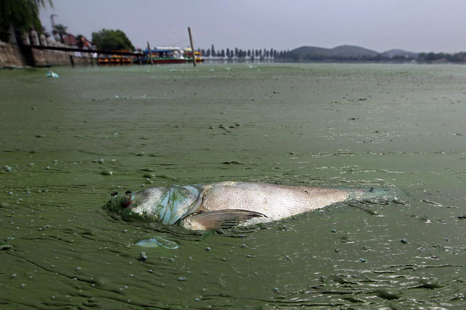 Pollution-contaminacion-Cultura-Inquieta-China-20
