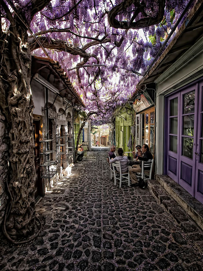 Streets Flowers calles flores cultura inquieta-1