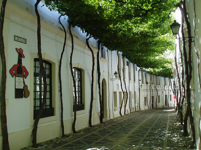 Streets Flowers calles flores cultura inquieta-11