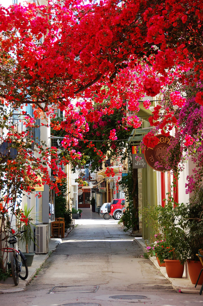 Streets Flowers calles flores cultura inquieta-12
