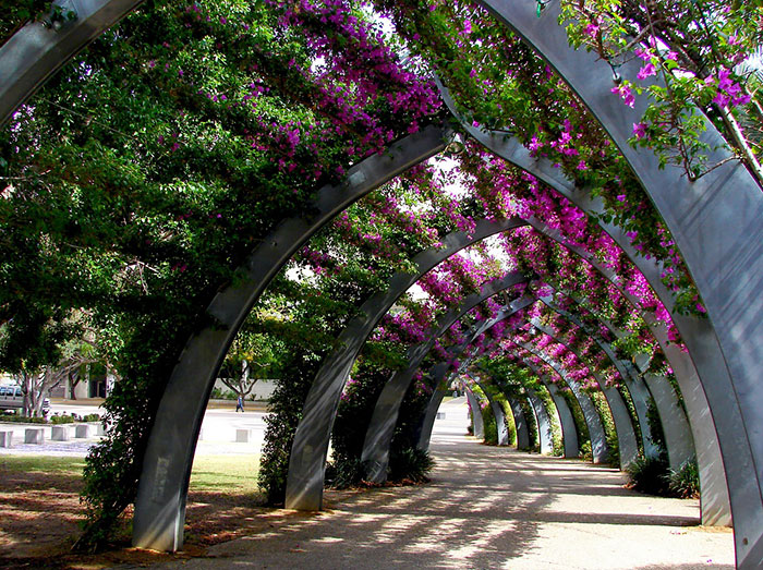 Streets Flowers calles flores cultura inquieta-13
