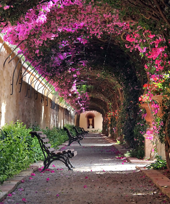 Streets Flowers calles flores cultura inquieta-4