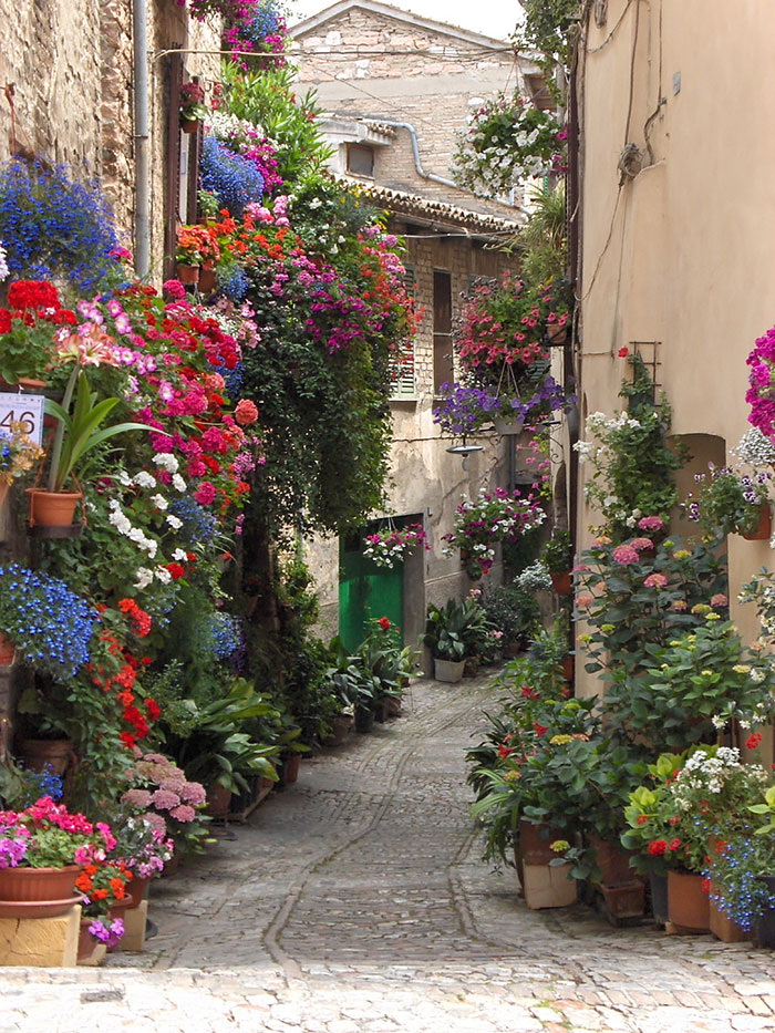 Streets Flowers calles flores cultura inquieta-8