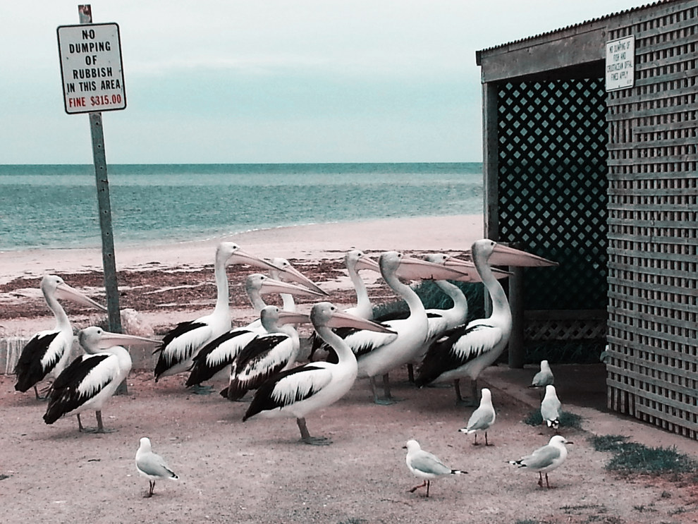 2015 World Photography Awards Cultura Inquieta12