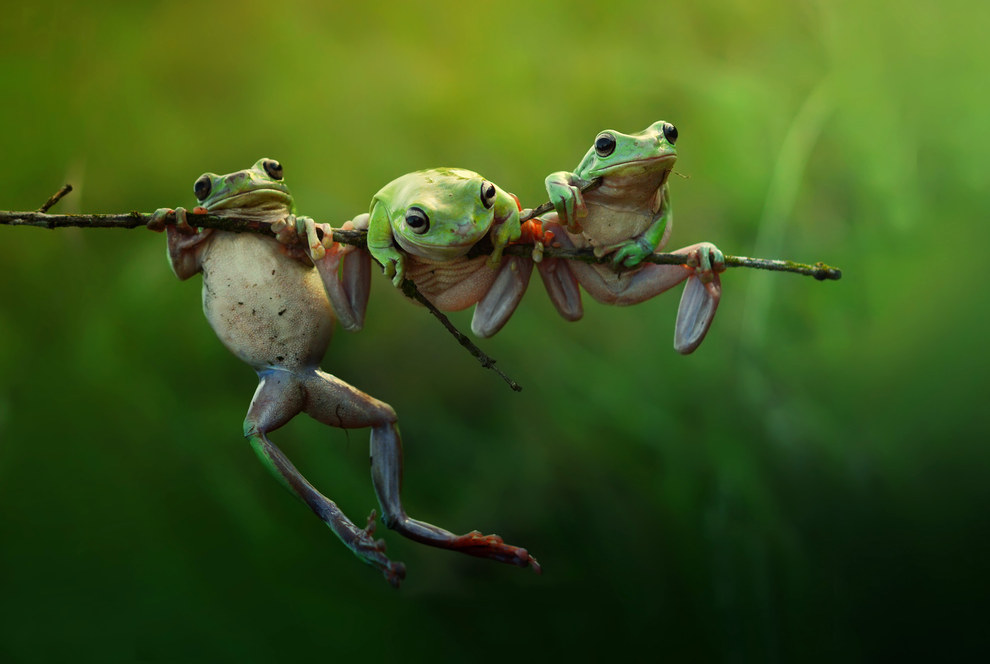 2015 World Photography Awards Cultura Inquieta22