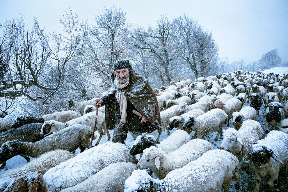 2015 World Photography Awards Cultura Inquieta6