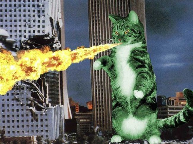 Frightening cat-monsters Cultura Inquieta4