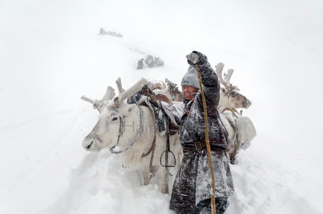 Reno Mongolia Hamid Sardar Afkhami11