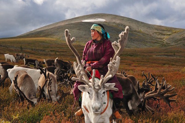 Reno Mongolia Hamid Sardar Afkhami2