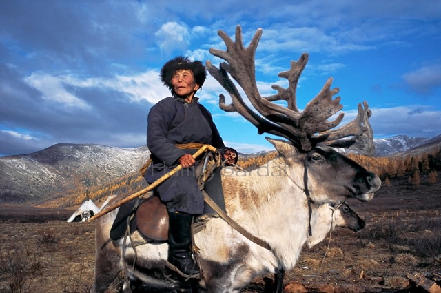 Reno Mongolia Hamid Sardar Afkhami3