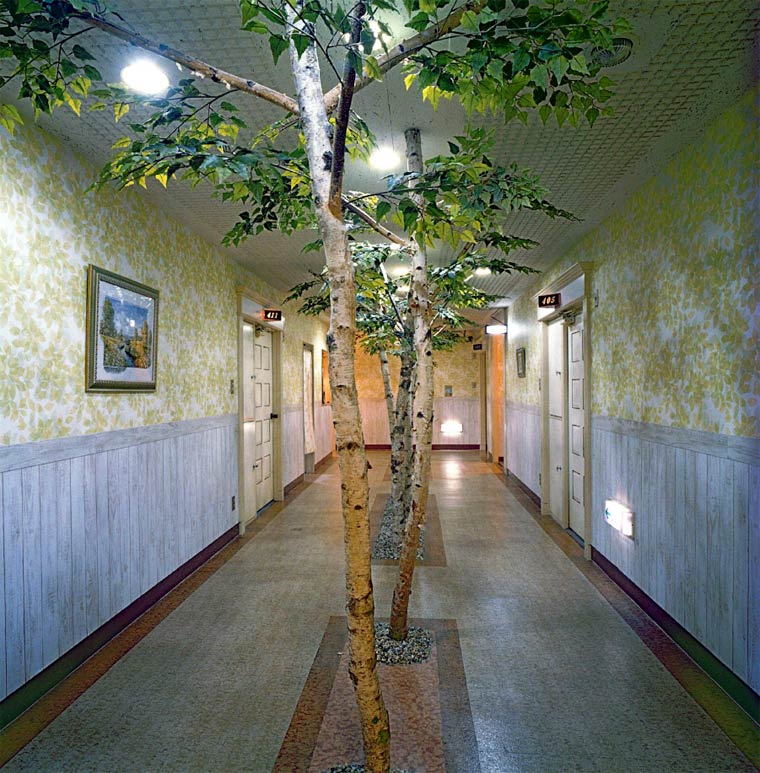 Japan_sex_hotel6