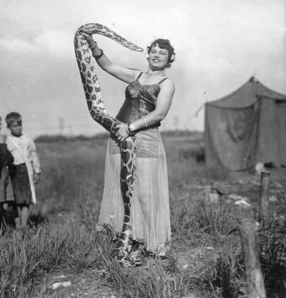 circo circus vintage Cultura Inquieta