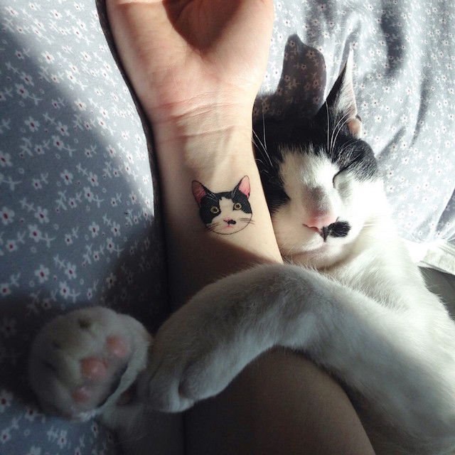 Cat tattoo gato tatuaje