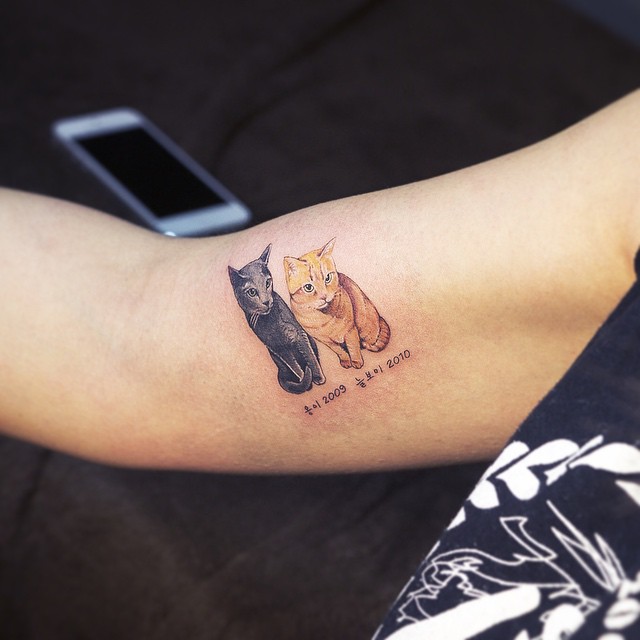 Cat tattoo gato tatuaje1