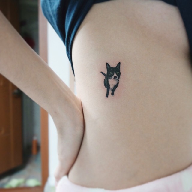 Cat tattoo gato tatuaje3