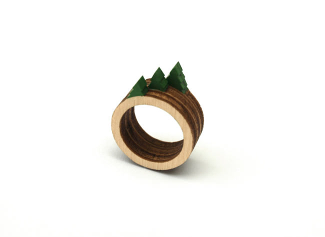 Clive Roddy anillo paisaje2
