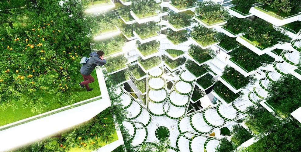 HYDROPONIC FARM granja cultivo hidroponica