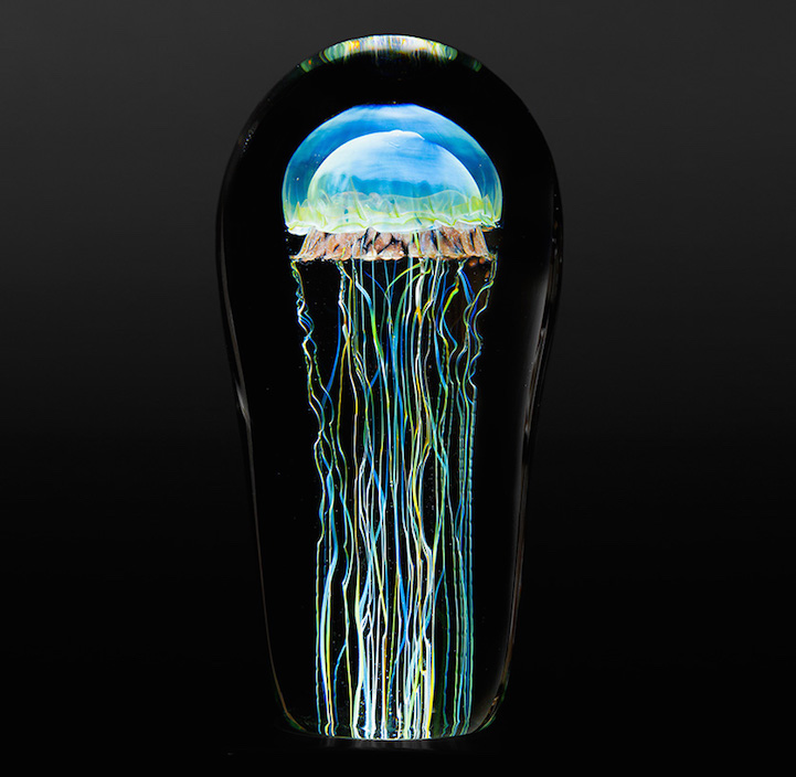 Rick Satava medusa