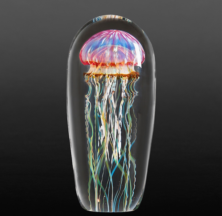 Rick Satava medusa1