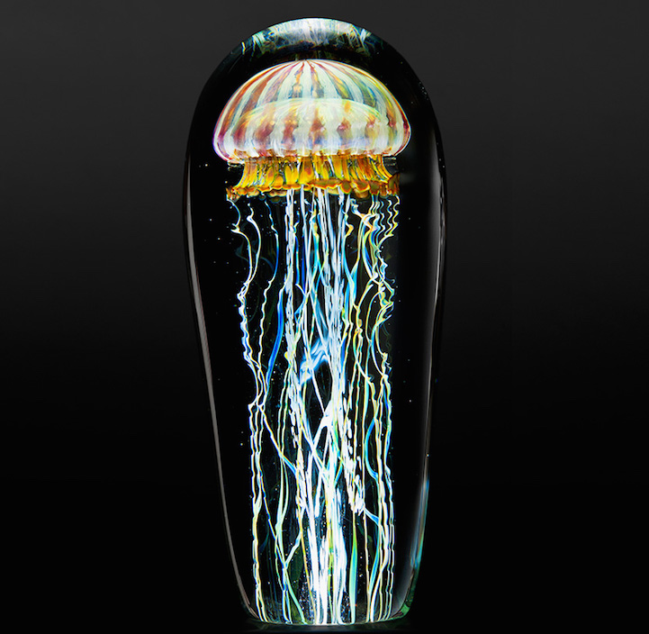 Rick Satava medusa2