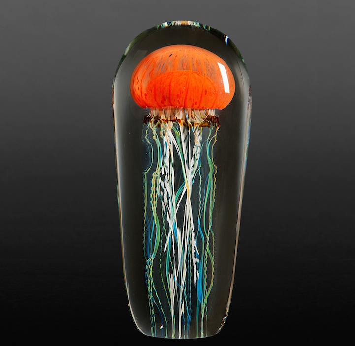 Rick Satava medusa3