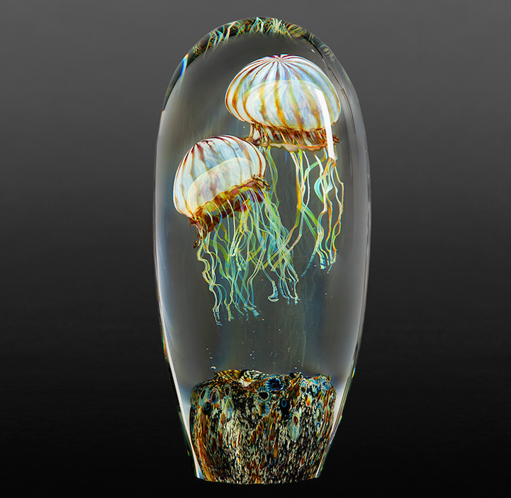 Rick Satava medusa5