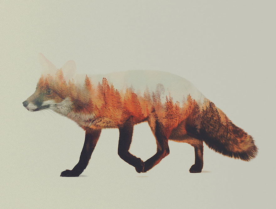double-exposure-animal-photography-Andreas Lie doble exposicion1