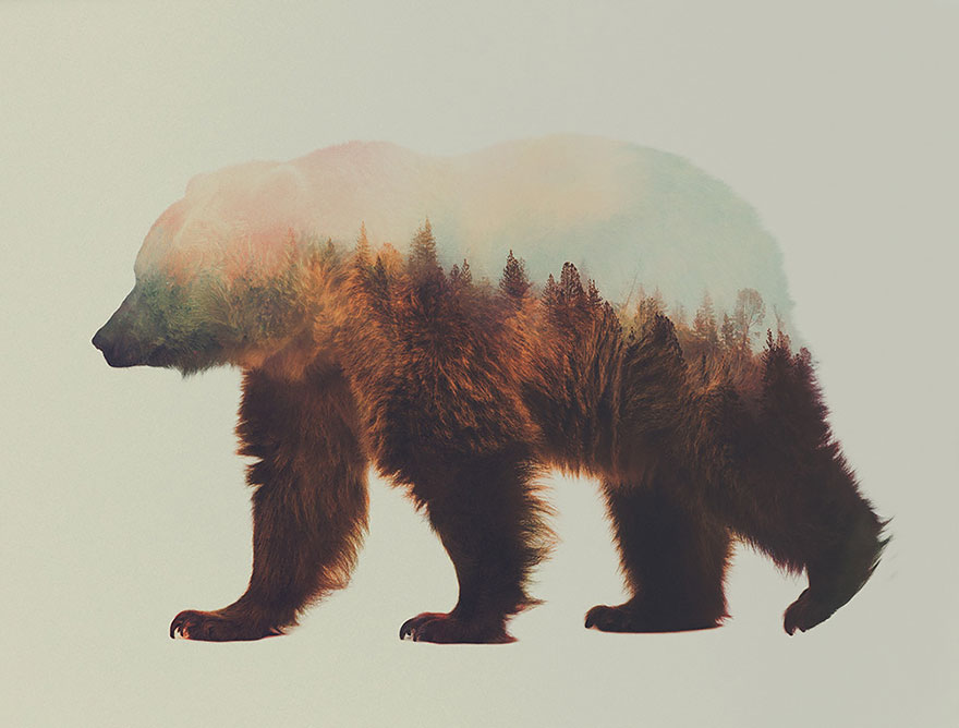 double-exposure-animal-photography-Andreas Lie doble exposicion10