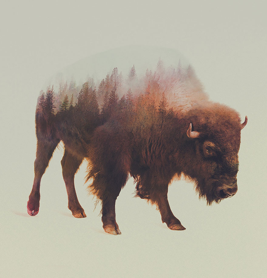 double-exposure-animal-photography-Andreas Lie doble exposicion11
