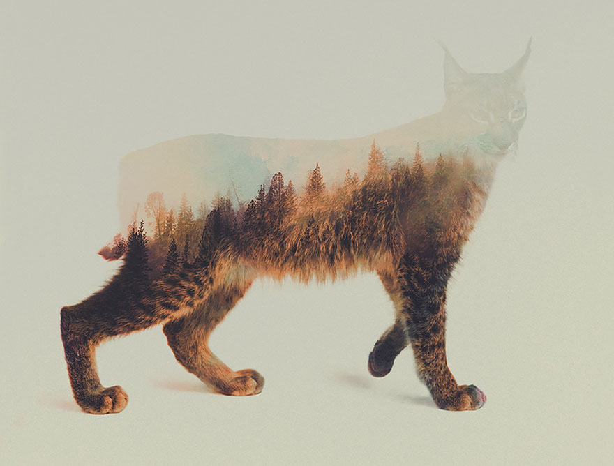 double-exposure-animal-photography-Andreas Lie doble exposicion12