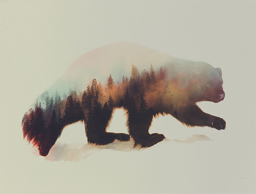 double-exposure-animal-photography-Andreas Lie doble exposicion14
