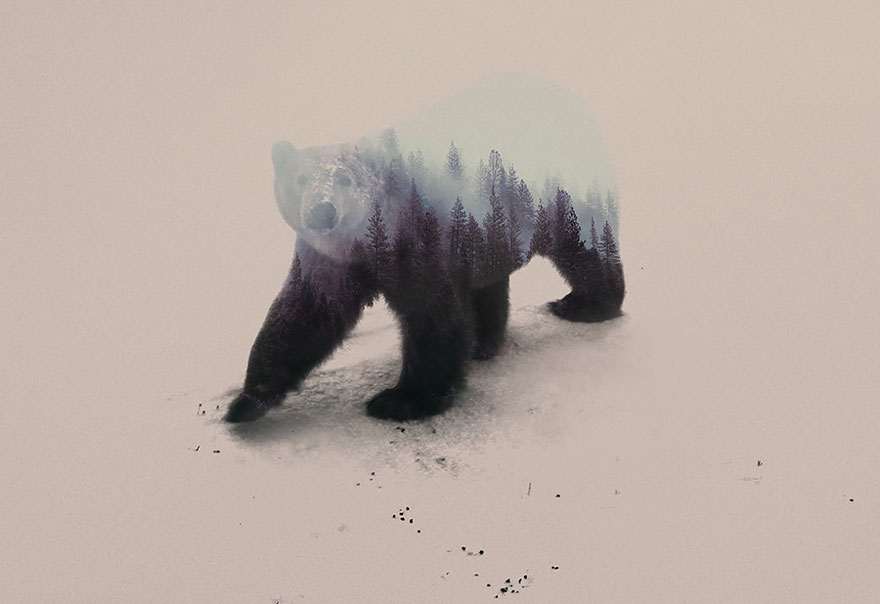 double-exposure-animal-photography-Andreas Lie doble exposicion18