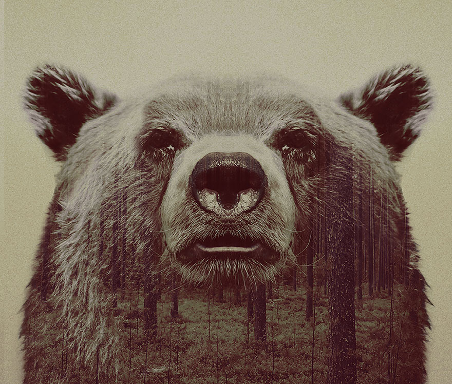 double-exposure-animal-photography-Andreas Lie doble exposicion19