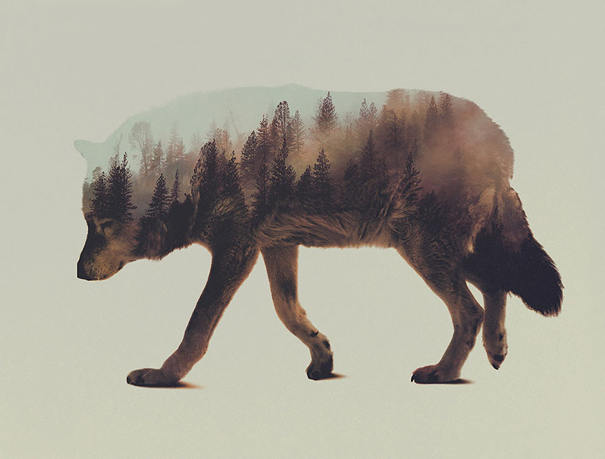 double-exposure-animal-photography-Andreas Lie doble exposicion2