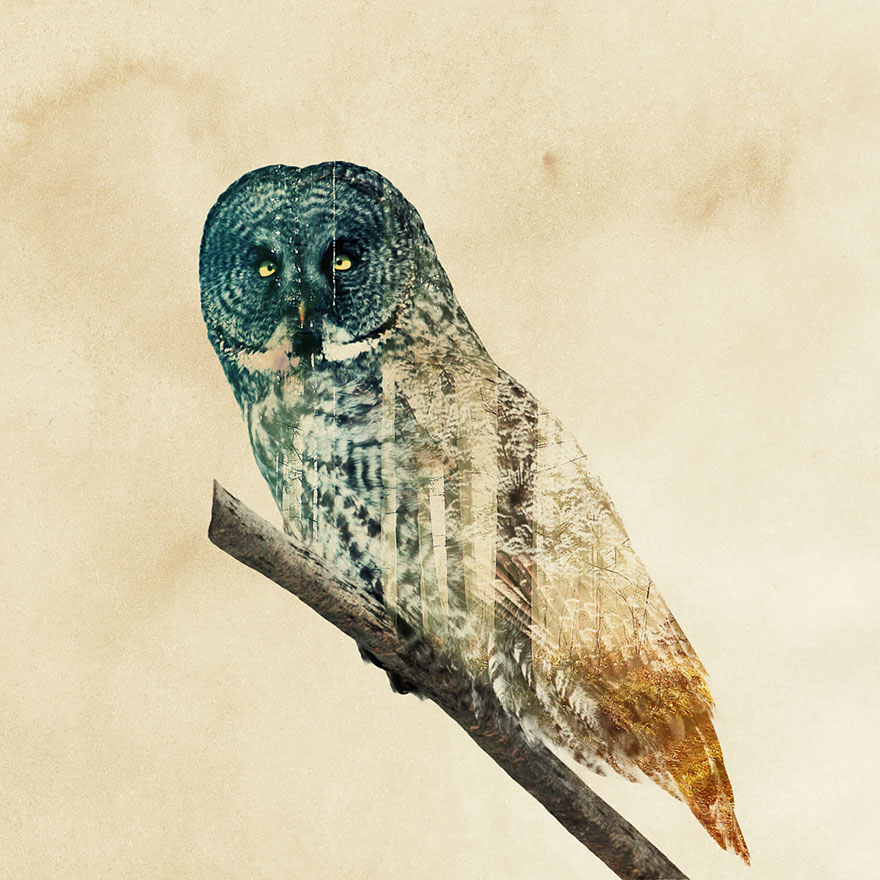 double-exposure-animal-photography-Andreas Lie doble exposicion21