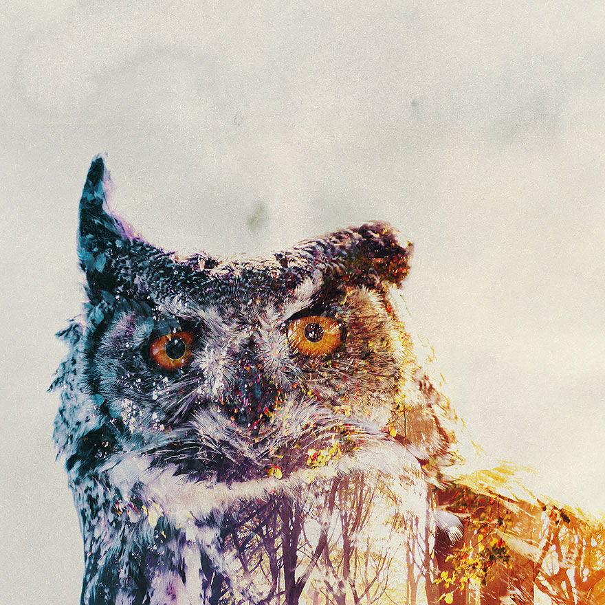 double-exposure-animal-photography-Andreas Lie doble exposicion22