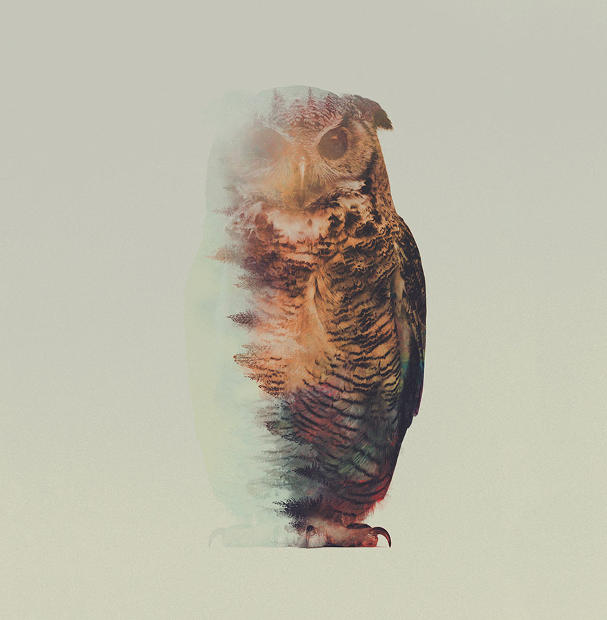 double-exposure-animal-photography-Andreas Lie doble exposicion5
