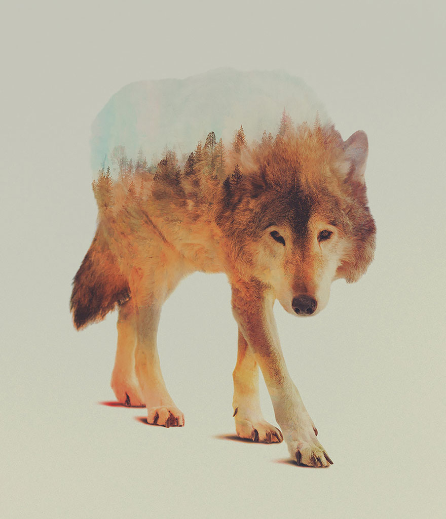 double-exposure-animal-photography-Andreas Lie doble exposicion6