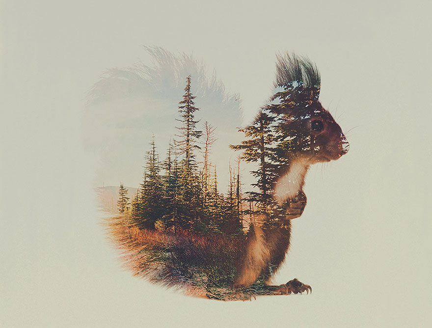 double-exposure-animal-photography-Andreas Lie doble exposicion7