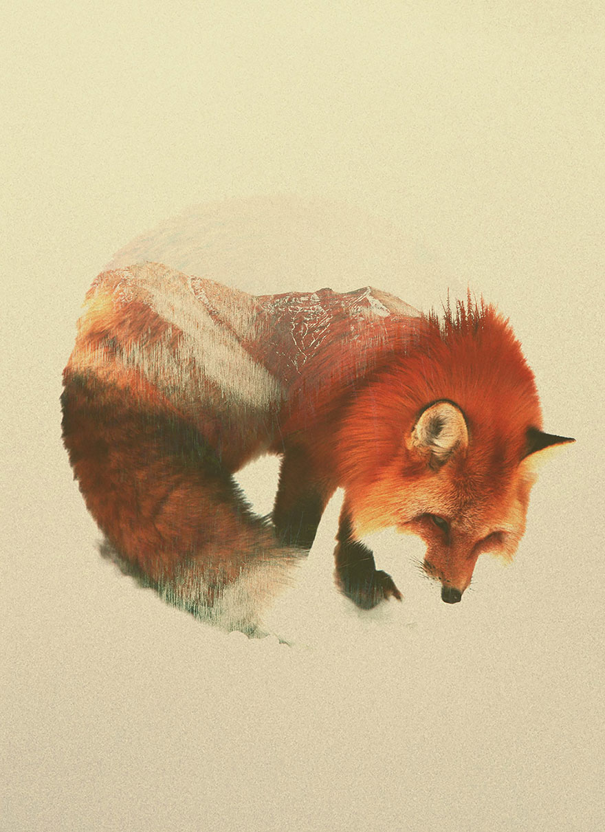 double-exposure-animal-photography-Andreas Lie doble exposicion8